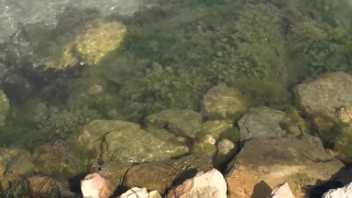 Premium HD Video Clip, HD Stock Footage, Stock Video Clip, Download