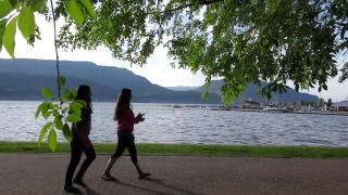 Premium HD Video Clip, HD Stock Footage, Stock Video Clip, Download