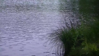 Premium HD Video Clip, HD Stock Footage, Stock Video Clip, Download