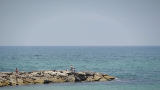 Premium HD Video Clip, HD Stock Footage, Stock Video Clip, Download