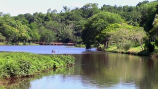 Premium HD Video Clip, HD Stock Footage, Stock Video Clip, Download