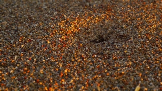Premium HD Video Clip, HD Stock Footage, Stock Video Clip, Download