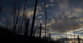 Premium HD Video Clip, HD Stock Footage, Stock Video Clip, Download