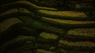 Premium HD Video Clip, HD Stock Footage, Stock Video Clip, Download
