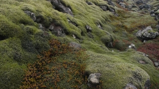 Premium HD Video Clip, HD Stock Footage, Stock Video Clip, Download
