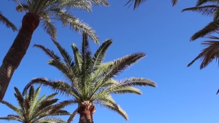 Premium HD Video Clip, HD Stock Footage, Stock Video Clip, Download