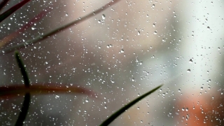 Premium HD Video Clip, HD Stock Footage, Stock Video Clip, Download