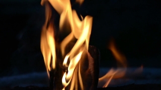 Premium HD Video Clip, HD Stock Footage, Stock Video Clip, Download