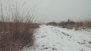 Premium HD Video Clip, HD Stock Footage, Stock Video Clip, Download