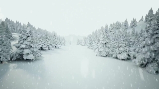 Premium HD Video Clip, HD Stock Footage, Stock Video Clip, Download
