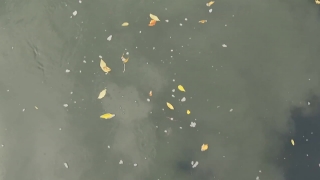 Premium HD Video Clip, HD Stock Footage, Stock Video Clip, Download