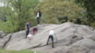 Premium HD Video Clip, HD Stock Footage, Stock Video Clip, Download