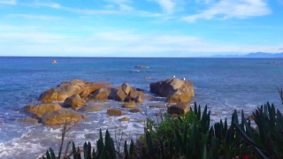 Premium HD Video Clip, HD Stock Footage, Stock Video Clip, Download