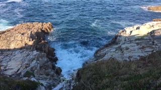 Premium HD Video Clip, HD Stock Footage, Stock Video Clip, Download