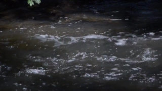 Premium HD Video Clip, HD Stock Footage, Stock Video Clip, Download