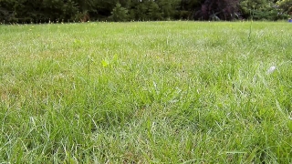 Premium HD Video Clip, HD Stock Footage, Stock Video Clip, Download