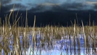 Premium HD Video Clip, HD Stock Footage, Stock Video Clip, Download