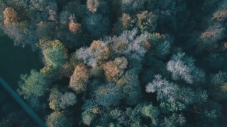 Premium HD Video Clip, HD Stock Footage, Stock Video Clip, Download