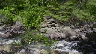 Premium HD Video Clip, HD Stock Footage, Stock Video Clip, Download