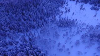 Premium HD Video Clip, HD Stock Footage, Stock Video Clip, Download