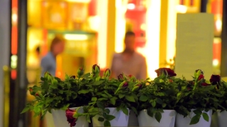 Premium HD Video Clip, HD Stock Footage, Stock Video Clip, Download