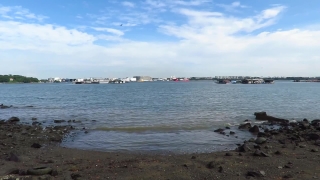 Premium HD Video Clip, HD Stock Footage, Stock Video Clip, Download