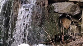 Premium HD Video Clip, HD Stock Footage, Stock Video Clip, Download