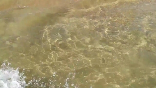 Premium HD Video Clip, HD Stock Footage, Stock Video Clip, Download