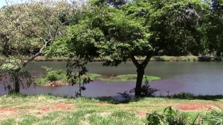 Premium HD Video Clip, HD Stock Footage, Stock Video Clip, Download