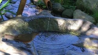 Premium HD Video Clip, HD Stock Footage, Stock Video Clip, Download
