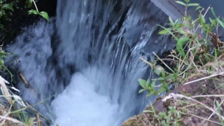 Premium HD Video Clip, HD Stock Footage, Stock Video Clip, Download