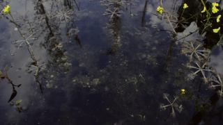 Premium HD Video Clip, HD Stock Footage, Stock Video Clip, Download