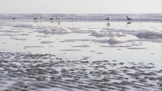 Premium HD Video Clip, HD Stock Footage, Stock Video Clip, Download