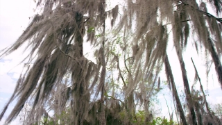 Premium HD Video Clip, HD Stock Footage, Stock Video Clip, Download
