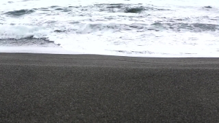 Premium HD Video Clip, HD Stock Footage, Stock Video Clip, Download