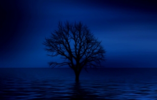 Premium HD Video Clip, HD Stock Footage, Stock Video Clip, Download