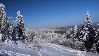Premium HD Video Clip, HD Stock Footage, Stock Video Clip, Download