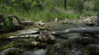 Premium HD Video Clip, HD Stock Footage, Stock Video Clip, Download