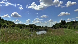 Premium HD Video Clip, HD Stock Footage, Stock Video Clip, Download