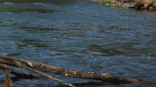 Premium HD Video Clip, HD Stock Footage, Stock Video Clip, Download