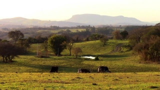 Premium HD Video Clip, HD Stock Footage, Stock Video Clip, Download