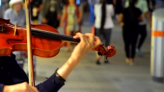 Premium HD Video Clip, HD Stock Footage, Stock Video Clip, Download