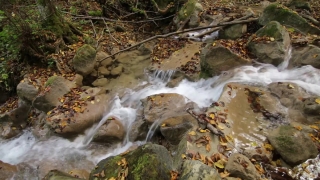 Premium HD Video Clip, HD Stock Footage, Stock Video Clip, Download