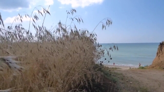 Premium HD Video Clip, HD Stock Footage, Stock Video Clip, Download