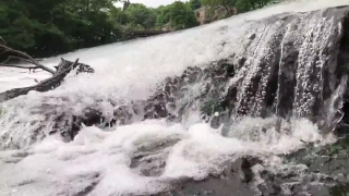 Premium HD Video Clip, HD Stock Footage, Stock Video Clip, Download
