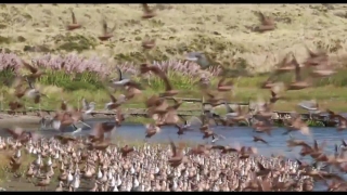 Premium HD Video Clip, HD Stock Footage, Stock Video Clip, Download
