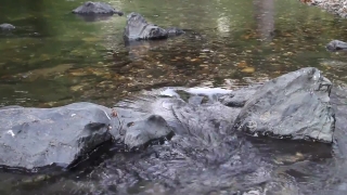 Premium HD Video Clip, HD Stock Footage, Stock Video Clip, Download