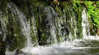 Premium HD Video Clip, HD Stock Footage, Stock Video Clip, Download