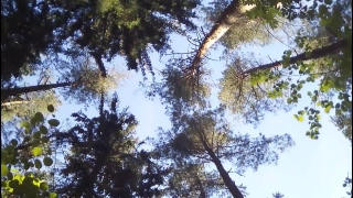 Premium HD Video Clip, HD Stock Footage, Stock Video Clip, Download