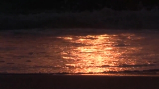 Premium HD Video Clip, HD Stock Footage, Stock Video Clip, Download